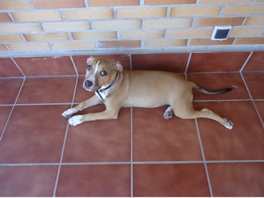 la princesa de la casa!!!